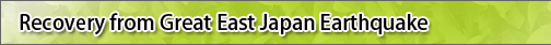 Recovery from Great East Japan Earthquake
